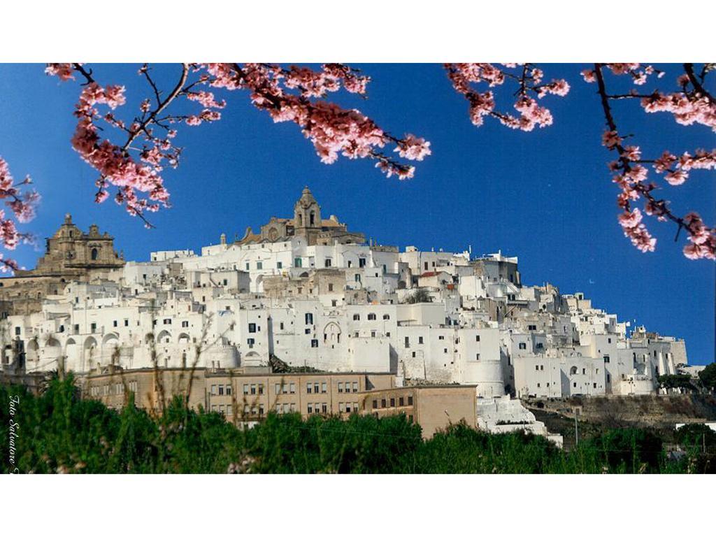 Casa Farella B&B In Suites Apartments Altamura X Matera Exterior foto